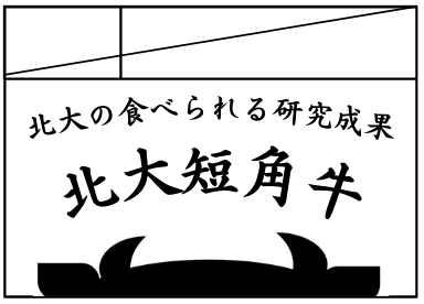 短角牛
